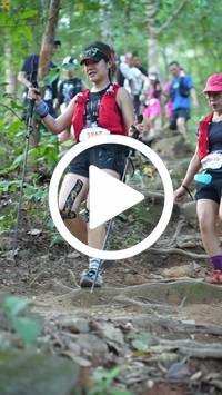 BIB:  <button type="button" onclick="openModal(27642952)" class="btn btn-primary btn-sm float-right" data-toggle="modal" data-target=".modal-high-quality">
                <i class="fa fa-download"></i> Download
                </button>